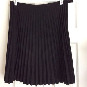 Pleated Skirt